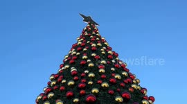 W. Bank’s Bethlehem prepares for subdued Christmas, message of hope amid conflict