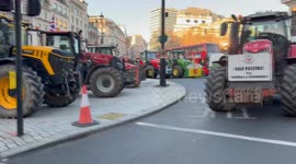UK farmers rally in London to protest inheritance tax