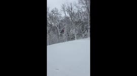Fresh snowfall transforms neighborhood into a winter landscape in Anoka, Minnesota, USA
