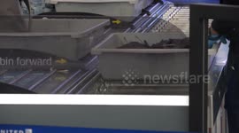 US: Millions on the move as Americans usher in busiest Thanksgiving travel period in years