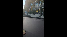 Bulldog in a Reindeer Costume Walks Through Downtown Chicago