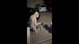 Raccoon Trick-or-Treat