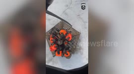 Severe floods in Southern Thailand kill 82, affect millions