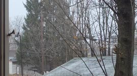 Intense snowfall blankets area in Toledo, Ohio, USA