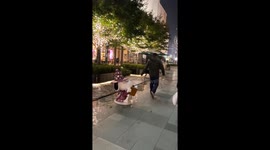 Dog escapes fountain area and runs off, leaving owner scrambling in Jiangsu, China