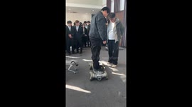 Robot dog load-bearing test in Zhejiang, China