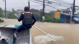 Dog stranded in bush is rescued from southern Thailand flood