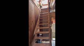 Toddler carefully bounces down stairs in Shanghai, China