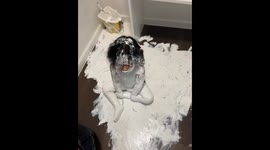 Toddler creates a paint mess in Honduras