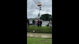 Brave local reaches into ditch to catch python lurking in the muddy water