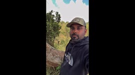 Terrifying moment photographer locks eyes with black panther sitting just metres away