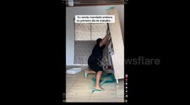 Man Accidentally Pulls Down Entire Kitchen Cabinet After Slipping on Spilled Liquid