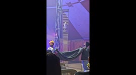 Fearless Circus Dog Climbs Massive 6-Meter Ladder and Leaps into Safety Sheet