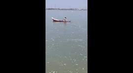 Thousands of dead fish float on lake 'contaminated by nearby construction'