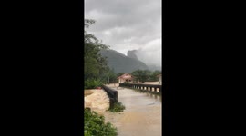 Mother dog carries puppy to safety through flood in southern Thailand