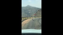Wild Mountain Goat Defies Gravity Scaling Steep Cliff Face in Tunceli, Turkey