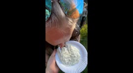 Hilarious Flour-Passing Game Ends in Messy Fail at Lake Baikal