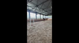 Show Jumping Fail: Spooked Horse 