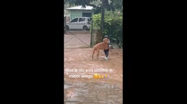 Toddler and Loyal Dog Share Heartwarming Dance in the Rain in Paraguay