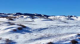 China: Wild red fox spotted roaming through snow in Xinjiang