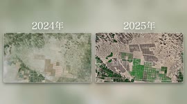 China: Innovative solar project integrates with greening efforts for desert control in Xinjiang