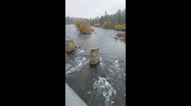 Mysterious Bicycles On Spokane River Pillars