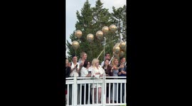 Bridge Collapses Under Weight of Balloon Dreams