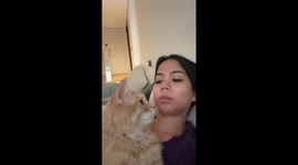 Cat Sings Along With Owner's Acoustic Showtune