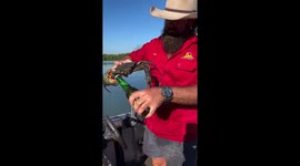 Crab Opens a Bottle of Beer