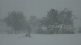 Gulf Coast Intense Blizzard Short Clip in Carlyss, Louisiana soon after Sunrise