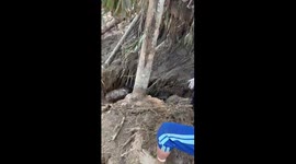 evacuated of victim from Sumatera Big Flood