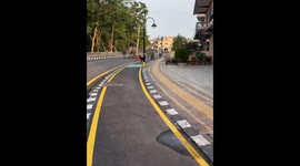 Baby elephant chases dog in Chitwan, Nepal