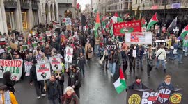 Thousands rally in London to mark International Day of Solidarity with Palestinians (2)