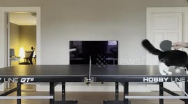 Cat Joins Game of Table Tennis