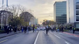 Thousands march in Geneva to show solidarity with Palestinian people (2)