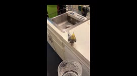 Waiting on That Fresh Sip