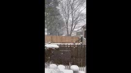 Heavy snowfall while decorating in Syracuse, USA