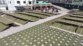 China: China sees strong momentum in rural industrial revitalization