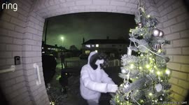 Real-life Grinch caught stealing Christmas tree on doorbell cam