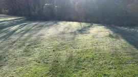Frost on the grass in Gray, Kentucky, USA