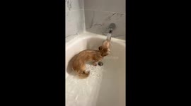 When You've Had a Long Week