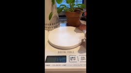 Tiny bird cutely weighed in Tokyo, Japan