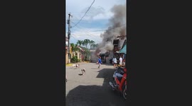 Pigs runs loose when bus carrying them catches fire