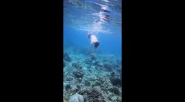 Snorkeller bumps into another tourist while resurfacing