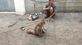 男子街头耍猴反遭猴子拿刀举棍奋力反抗