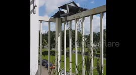 vogels komen eten 2juli