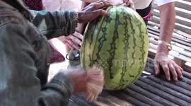 watch how this chap cleverly slices a18 kilo melon without letting go of his cash