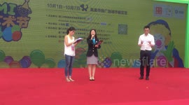 世界最大气球展365000只气球创吉尼斯纪录