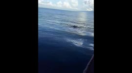 Ferry ramp mishap leads to swift water rescue in Misamis Oriental, Philippines