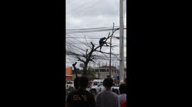 Dramatic rescue as man clings to electrical wires in Bacolod, Philippines